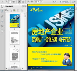 房地產(chǎn)企業(yè)營銷策劃推廣、促銷方案與電子商務(wù)網(wǎng)絡(luò)營銷的整合策略